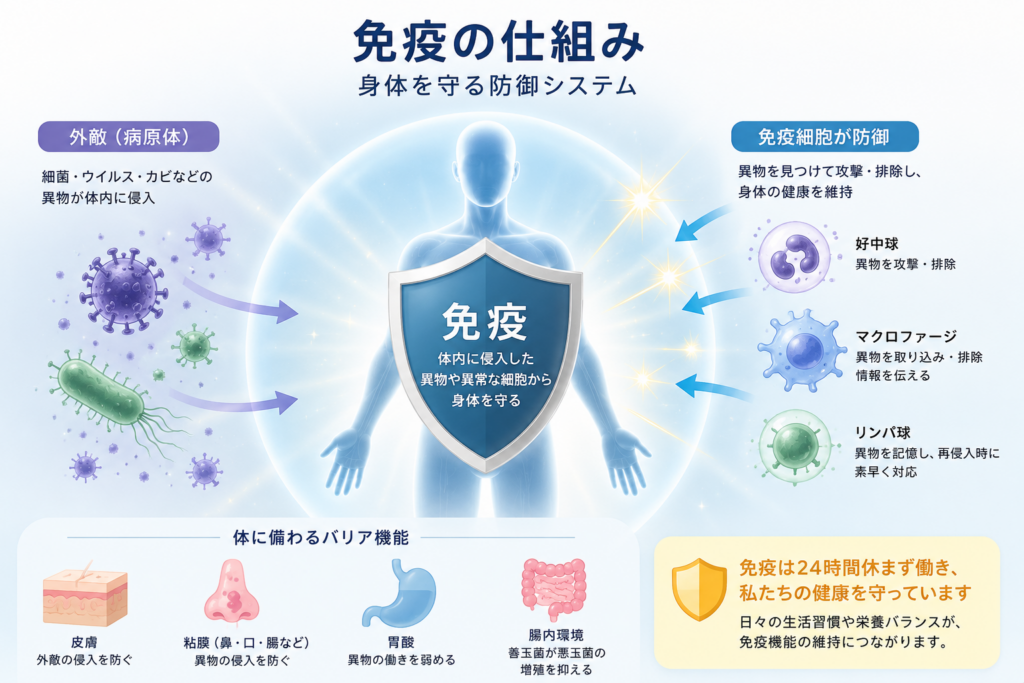 免疫＝身体を守る防御システム