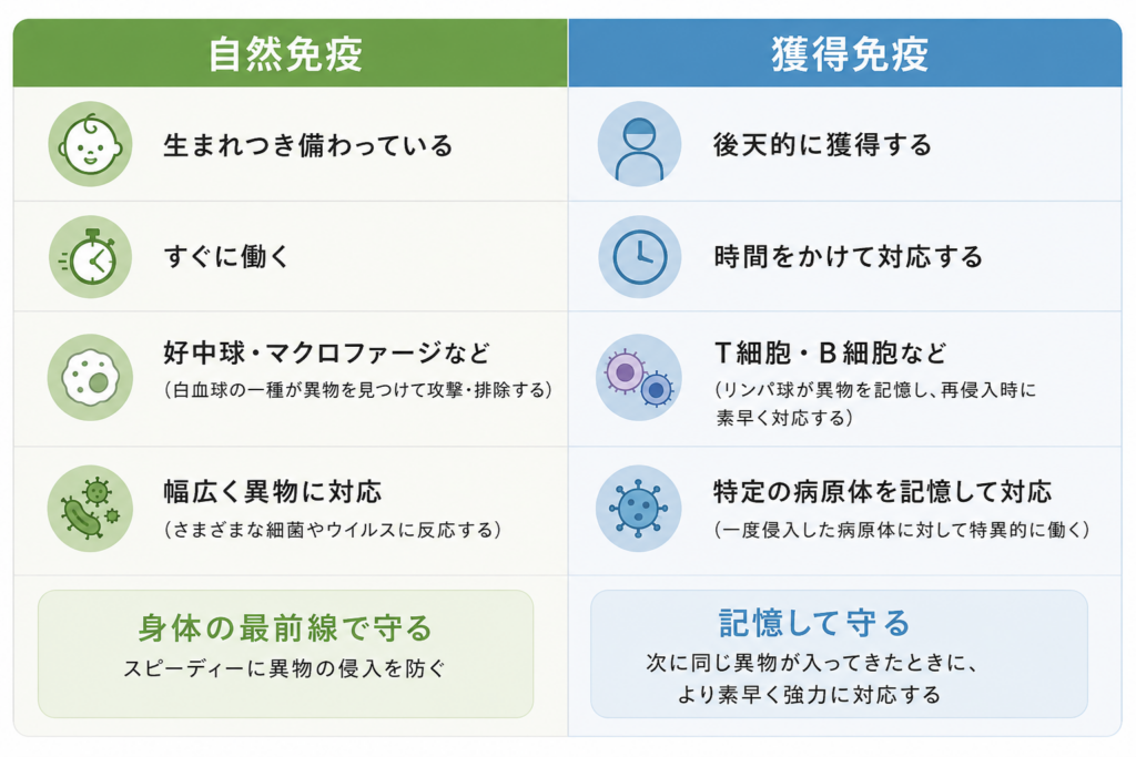 自然免疫と獲得免疫